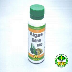 Algas + Sene 600 - 60 Comprimidos