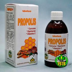 Propolis + Curcuma + Equinácea + Vit C - Tónico 250 ml